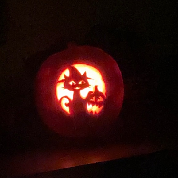 Meet your Posher, Alana - Picture 8 of 16